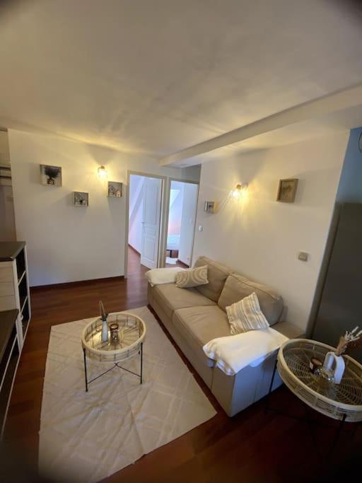 Charmant T3 A Bagneres-De-Luchon Екстер'єр фото